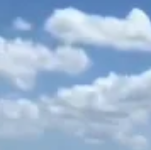 pfp